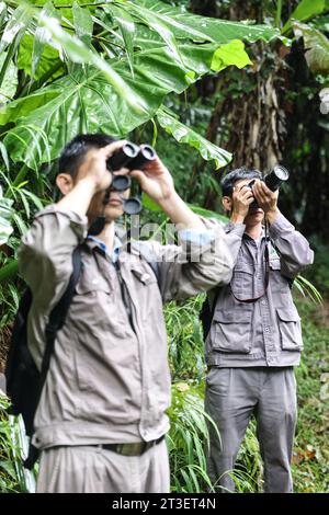 (231025) -- HAIKOU, 25 octobre 2023 (Xinhua) -- Li Wenyong (à gauche) et son collègue patrouillent dans la zone de Bawangling du parc national de la forêt tropicale humide de Hainan, dans la province de Hainan, dans le sud de la Chine, le 18 octobre 2023. Li Wenyong est un garde forestier du parc national de la forêt tropicale de Hainan dans la province insulaire du sud de la Chine. Il vit dans le village de Miao, dans le canton de Qingsong, qui est sous la juridiction du comté autonome de Baisha Li, et le village le plus proche de la zone de Bawangling du parc. C'est le cœur du pays du gibbon de Hainan. Les singes à crête noire ne peuvent être trouvés qu'à Hainan, et comme ils mettent rarement les pieds Banque D'Images