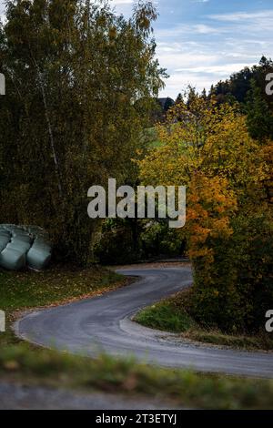 Passau, Allemagne. 23 octobre 2023. Ambiance pendant le Rallye d'Europe centrale 2023, 12e manche du Championnat du monde des voitures de rallye WRC 2023, du 26 au 29 octobre 2023 à Passau, Allemagne - photo Nikos Katikis/DPPI crédit : DPPI Media/Alamy Live News Banque D'Images