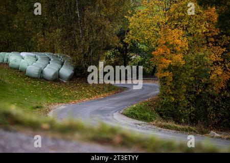 Passau, Allemagne. 23 octobre 2023. Ambiance pendant le Rallye d'Europe centrale 2023, 12e manche du Championnat du monde des voitures de rallye WRC 2023, du 26 au 29 octobre 2023 à Passau, Allemagne - photo Nikos Katikis/DPPI crédit : DPPI Media/Alamy Live News Banque D'Images