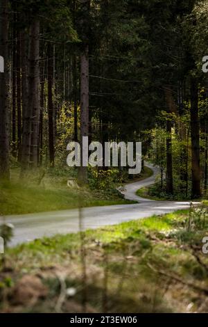 Passau, Allemagne. 23 octobre 2023. Ambiance pendant le Rallye d'Europe centrale 2023, 12e manche du Championnat du monde des voitures de rallye WRC 2023, du 26 au 29 octobre 2023 à Passau, Allemagne - photo Nikos Katikis/DPPI crédit : DPPI Media/Alamy Live News Banque D'Images