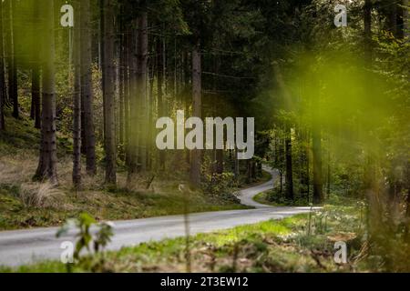 Passau, Allemagne. 23 octobre 2023. Ambiance pendant le Rallye d'Europe centrale 2023, 12e manche du Championnat du monde des voitures de rallye WRC 2023, du 26 au 29 octobre 2023 à Passau, Allemagne - photo Nikos Katikis/DPPI crédit : DPPI Media/Alamy Live News Banque D'Images