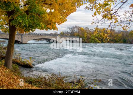 Belles feuilles d'automne de feuillage avec Goat Island Bridge dans Niagara Falls State Park, en amont de la chute d'eau Niagara Falls au coucher du soleil, écoulement rapide Banque D'Images