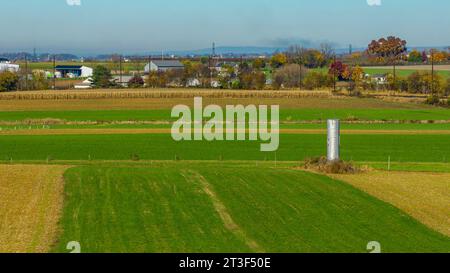 Une vue aérienne des terres agricoles amish à l'automne des cultures de couverture et du maïs fourrager nécessitant une récolte Banque D'Images