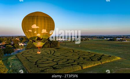 Une vue aérienne d'une montgolfière dorée, qui vient d'être lancée et flotte à travers un champ avec un labyrinthe de maïs, par un matin d'été ensoleillé Banque D'Images