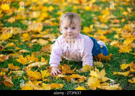 Petite fille heureuse rampe à quatre pattes sur les feuilles colorées tombées dans le parc d'automne Banque D'Images