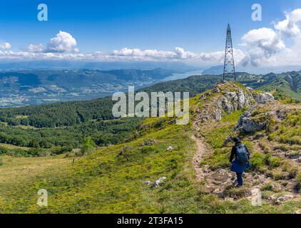 Col du Grand Colombier. Vue sur le Col du Grand Colombier, la forêt, la route, le lac du Bourget et la crête montagneuse derrière Banque D'Images