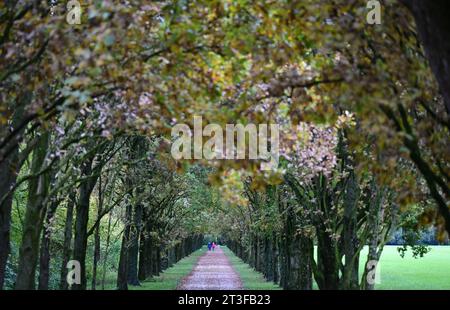 Ludwigsburg, Allemagne. 25 octobre 2023. Les poussettes marchent à travers une avenue d'arbres colorés d'automne. Crédit : Bernd Weißbrod/dpa/Alamy Live News Banque D'Images
