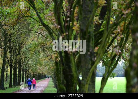 Ludwigsburg, Allemagne. 25 octobre 2023. Les poussettes marchent à travers une avenue d'arbres colorés d'automne. Crédit : Bernd Weißbrod/dpa/Alamy Live News Banque D'Images