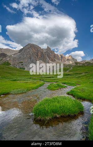 France, Savoie, massif du Cerces, Valloires, randonnée vers le lac du Cerces, le ruisseau du Cerces et la pointe du Cerces Banque D'Images