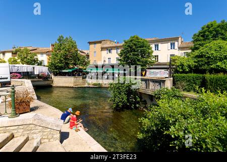France, Vaucluse, Luberon, l'Isle sur la Sorgue, quartier des antiquités, marché aux puces du dimanche Banque D'Images