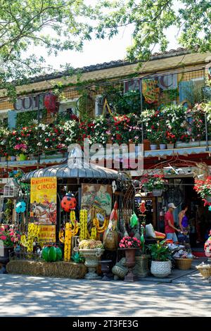 France, Vaucluse, Luberon, l'Isle sur la Sorgue, quartier des antiquités, marché aux puces du dimanche Banque D'Images