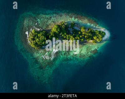Papouasie-Nouvelle-Guinée, province de Madang, petite île près du village de Riwo (vue aérienne) Banque D'Images