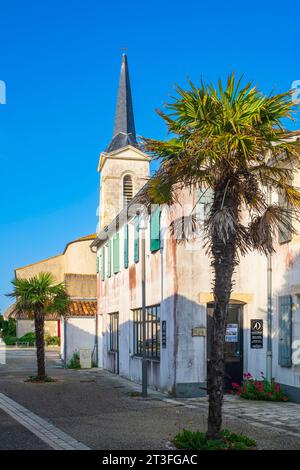 France, Charente Maritime, Ile de Ré, Saint Clement des baleines, église Saint Clément Banque D'Images