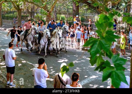 France,, Gard, Aigues-vives, festival local Banque D'Images