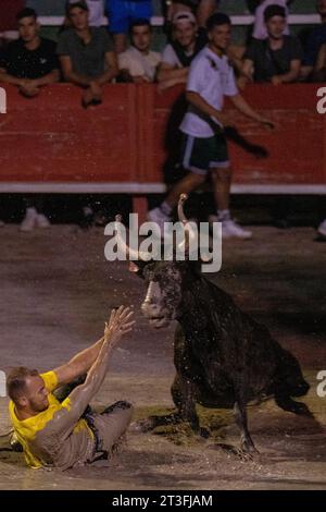 France,, Gard, Aigues-vives, festival local, jouer avec un taureau dans une piscine amusante dans une arène Banque D'Images