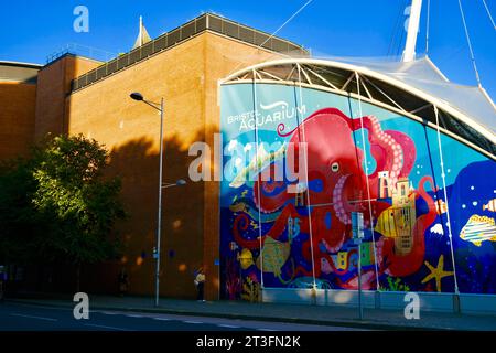 Royaume-Uni, Bristol, Bristol Aquarium, Street art. Banque D'Images