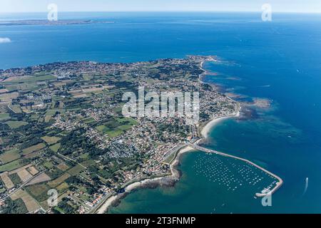 France, Loire Atlantique, la Plaine sur Mer, Port de Gravette et la Pointe de St Gildas (vue aérienne) Banque D'Images