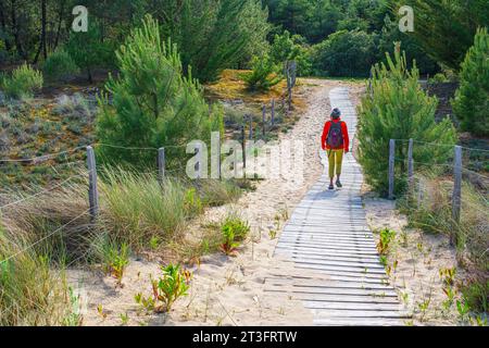 France, Charente Maritime, Ile de Re, les portes en Re, randonnée dans la forêt de Trousse-Chemise Banque D'Images