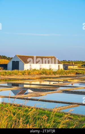 France, Vendée, île de Noirmoutier, l'Epine, marais salants Banque D'Images