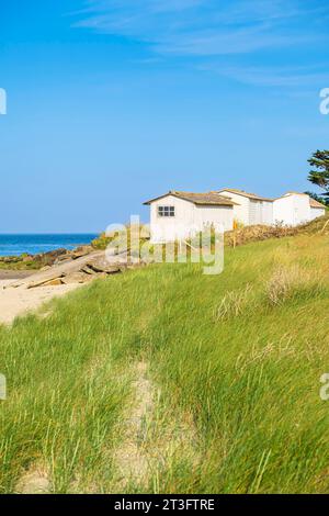 France, Vendée, Ile d'Yeu, côte dunaire (côte nord-est), cabanes de pêcheurs le long de la plage du Marais Salé Banque D'Images