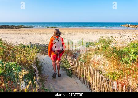 France, Vendée, Ile d'Yeu, randonnée sur le sentier côtier GR 80, plage du Marais Salé sur la côte dune (côte nord-est) Banque D'Images