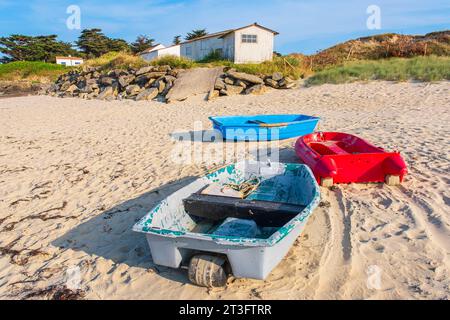 France, Vendée, Ile d'Yeu, côte dunaire (côte nord-est), cabanes de pêcheurs le long de la plage du Marais Salé Banque D'Images