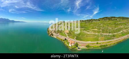 Suisse, Canton de Vaud, vignoble en terrasses de Lavaux classé au patrimoine mondial de l'UNESCO, il s'étend de Montreux à Lausanne sur 32km le long du lac Léman et sur 850ha, Rivaz (vue aérienne) Banque D'Images
