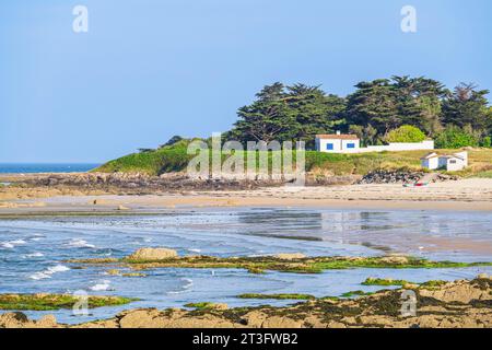 France, Vendée, Ile d'Yeu, la côte dunaire (côte nord-est), plage du Marais Salé Banque D'Images