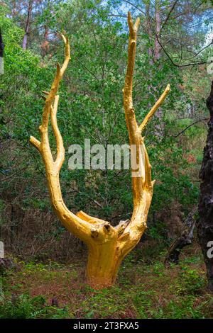 France, Morbihan, Forêt de Brocéliande, Trehorenteuc, Val sans Retour, l’arbre d’or, créé par François Davin en 1991 à la suite d’un incendie, un arbre recouvert de véritables feuilles d’or symbolisant la renaissance de la forêt, mais aussi son caractère fragile et précieux Banque D'Images