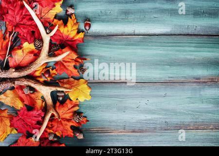 Véritables bois de cerf à queue blanche sur une table en bois rustique avec des feuilles d'automne colorées. Ceux-ci sont utilisés par les chasseurs lors de la chasse au hochet dans d'autres la Banque D'Images