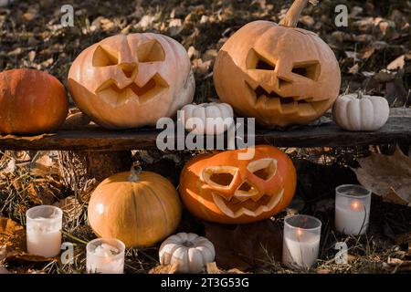 Tête de citrouille d'Halloween avec visage souriant sculpté et effrayant sur banc de bois à l'extérieur. Jack-O-Lantern, bougies allumées, feuilles séchées à l'extérieur. Halloween Composi Banque D'Images