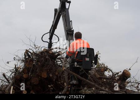 Travaux de nettoyage après Une tempête, dégâts d'arbre dans la forêt nettoyage après dégâts d'orage dans la forêt crédit : Imago/Alamy Live News Banque D'Images