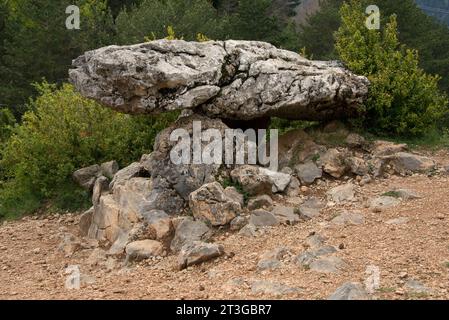 Tella dolmen, Piedra Vasar ou Losa la Campa. Tella-sin, Sobrarbe, province de Huesca, Aragon, Espagne. Banque D'Images