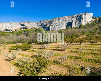 France, Vaucluse, Parc naturel régional du Luberon, Lioux, falaises de la Madeleine (vue aérienne) Banque D'Images