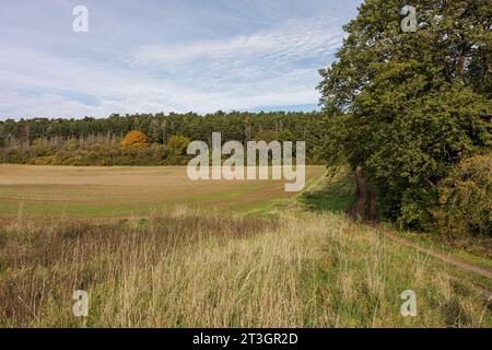 Remlingen Semmenstedt, Allemagne. 25 octobre 2023. Une prairie à côté de l'installation provisoire prévue de stockage des déchets nucléaires de la mine Asse II. Dans l'ancienne mine près de Remlingen, dans le district de Wolfenbüttel, environ 126 000 barils contenant des déchets radioactifs de faible et moyenne activité sont stockés dans 13 chambres. Comme l'eau s'infiltre, l'installation de stockage doit être nettoyée. Crédit : Ole Spata/dpa/Alamy Live News Banque D'Images