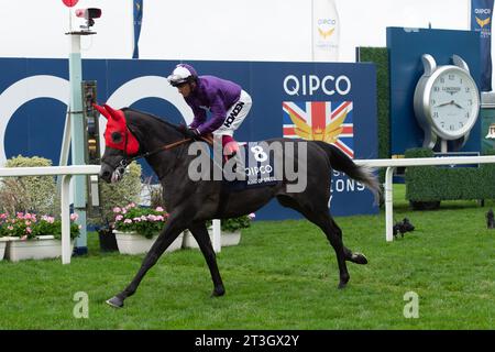 FICHIER PICS. 24 octobre 2023. Le jockey Frankie Dettori a reçu aujourd'hui une interdiction de 16 jours de la British Horse Racing Authority, comité d'examen des whip, pour avoir fouetté les chevaux Trawlerman et Kinross lors de la QIPCO British Champions Day à l'hippodrome d'Ascot sur Saturay. Cela signifie qu'il manquera maintenant de participer à la Melbourne Cup. Ascot, Berkshire, Royaume-Uni. 21 octobre 2023. Le jockey Frankie Dettori descend la piste au départ de la course sur le cheval King of Steel avant de remporter les QIPCO Champion Stakes à l’hippodrome d’Ascot lors de la QIPCO British Champions Day. Propriétaire Amo Racing Ltd. Formateur Roger Varian, Newm Banque D'Images