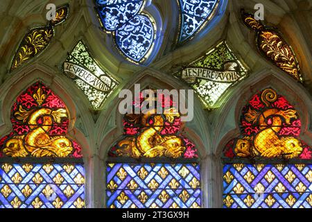 France, meurthe et Moselle, Saint Nicolas de Port, basilique Saint Nicolas de Port construite au début du 16e siècle après la victoire du duc René le second sur Charles le temeraire à la bataille de Nancy grâce à l'intercession de Saint Nicolas Saint patron de la Lorraine, sanctuaire national des habitants de Lorraine. Vitrail situé dans la chapelle Sainte Barbe représentant les semis de fleurs de lilly et la devise du duc Antoine faite pendant la seconde moitié du 19e siècle Banque D'Images