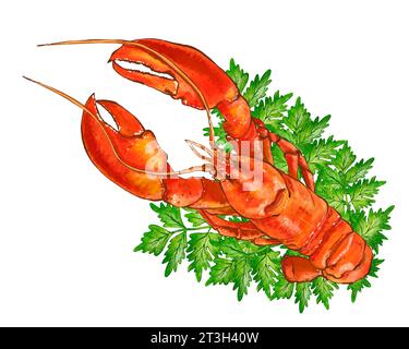 Illustration aquarelle de fruits de mer, homard rouge isolé sur fond blanc. Illustration dessinée à la main dans un style réaliste. Banque D'Images