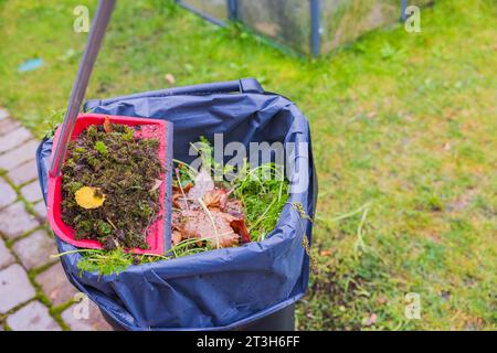 Vue rapprochée du nettoyage du jardin d'automne et de l'élimination des déchets dans une poubelle en plastique. Banque D'Images