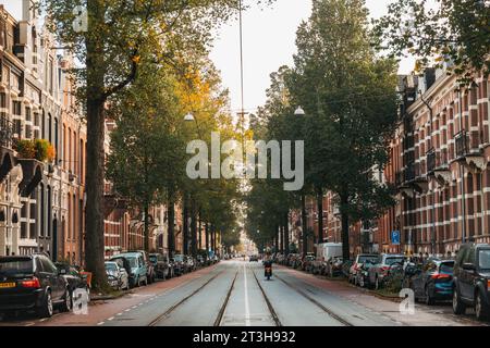 Arbres et immeubles en briques bordent Willemsparkweg, une rue résidentielle à Amsterdam, pays-Bas Banque D'Images