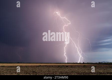 Des éclairs spectaculaires frappent d'un orage de mousson près de Tucson, Arizona Banque D'Images