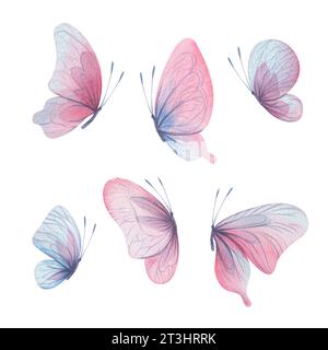 Les papillons sont roses, bleus, lilas, volants, délicats avec des ailes et des éclaboussures de peinture. Illustration à l'aquarelle dessinée à la main. Ensemble d'éléments isolés activé Banque D'Images