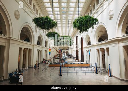 Les jardins suspendus contrastent avec l'intérieur blanc nacré du Stanley Hall du Field Museum, Chicago, États-Unis Banque D'Images