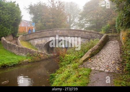 Pont de serpent en pierre sur le canal Macclesfield dans la campagne du Cheshire Banque D'Images