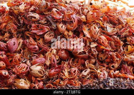 Noix mace, Mace est l'épice faite à partir de la couverture de graines rougeâtres (aril) de la graine de noix de muscade. plante connue sous le nom de myristica fragrans Banque D'Images