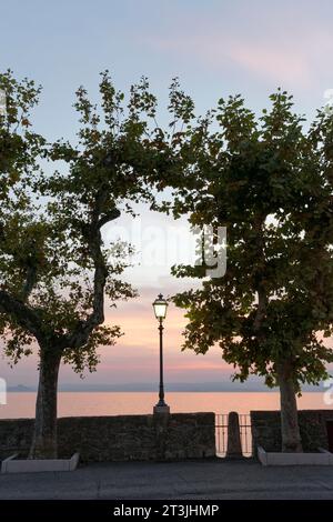 Promenade avec des platanes au bord du lac, coucher de soleil, Torri del Benaco, rive orientale du lac de Garde, province de Vérone, Italie Banque D'Images