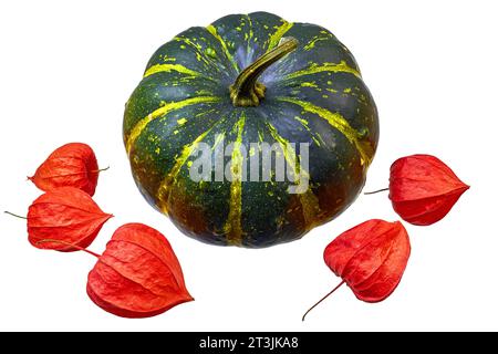 Citrouille jaune vert rayé et fruits physalis dispersés autour isolé sur fond blanc Banque D'Images