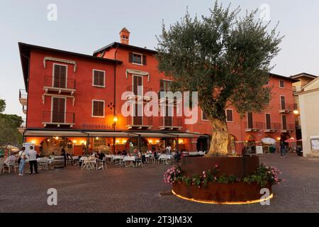 Place avec olivier et restaurant Berengario, crépuscule, centre historique, Torri del Benaco, rive est du lac de Garde, province de Vérone, Italie Banque D'Images