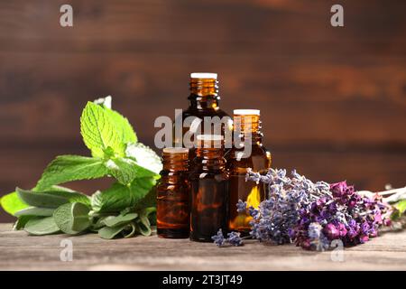 Bouteilles aux huiles essentielles, herbes et fleurs sur table en bois Banque D'Images