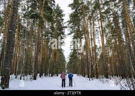 Deux skieurs suivent d'autres personnes le long d'un sentier d'hiver parmi une forêt de pins Banque D'Images